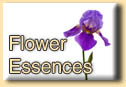 Flower essences - Surrey